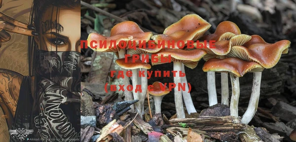 PSILOCYBIN Дмитровск