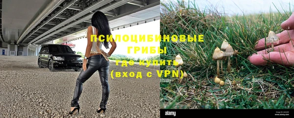 бутират Белокуриха
