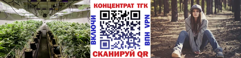 гидра tor  закладка  Володарск  ТГК Wax 