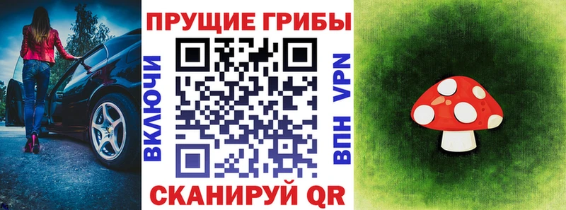 Псилоцибиновые грибы ЛСД  Володарск 